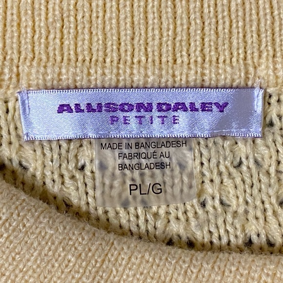 ⭐️HOST Pick⭐️ Allison Daley Petite Knitted Sweater, size Large - Picture 4 of 11